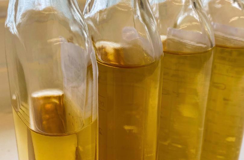 Whisky Trade Clients Samples Regauges